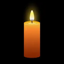 Arielle Weinstein Obituary: Bellmore, NY, In Loving Memory